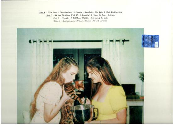 LANA DEL REY -BLUE BANISTERS *2-LP* *2021*