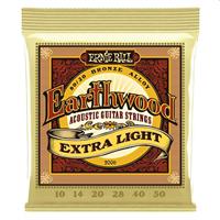 MUTA 0,10/0,50 X CHITARRA ACUSTICA ERNIE BALL EARTHWOOD 2006