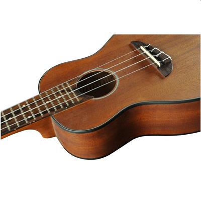 DUO UKULELE CONCERTO MOGANO EKO