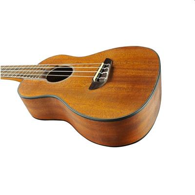 DUO UKULELE CONCERTO MOGANO EKO