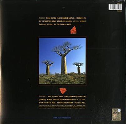 PINK FLOYD -DELICATE SOUND OF THUNDER *2-LP* *2017*