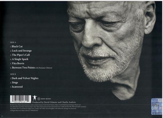 DAVID GILMOUR -LUCK AND STRANGE *LP NERO*