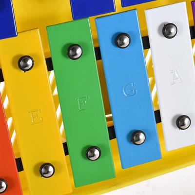 METALLOFONO CROMATICO 25 PIASTRE COLORATE