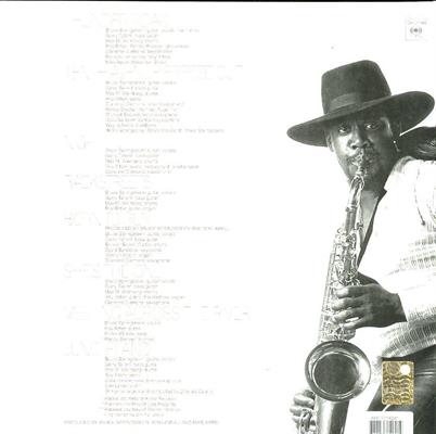 BRUCE SPRINGSTEEN -BORN TO RUN *1975* *LP*