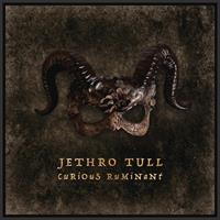 JETHRO TULL -CURIOUS RUMINANT *2025*