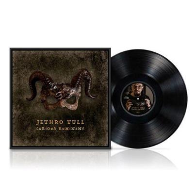 JETHRO TULL -CURIOUS RUMINANT *LP*