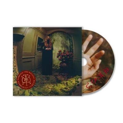 FLORENCE + THE MACHINE -EVERYBODY SCREAM *COVER ALTERNATIVA*