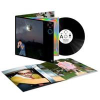 HARRY STYLES -KISS ALL THE TIME. DISCO OCCASIONALLY *LP*