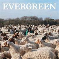 CALCUTTA -EVERGREEN E ALTRE CANZONI *2-CD* *2019*
