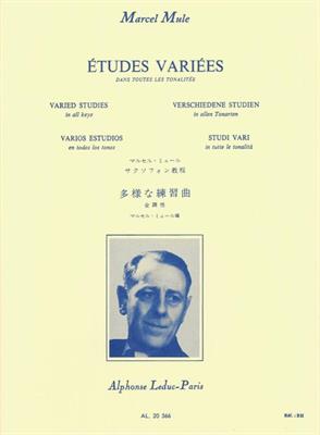 MULE' M.-STUDI VARI IN TUTTE LE TONALITA'