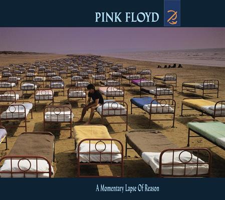PINK FLOYD -A MOMENTARY LAPSE OF REASON