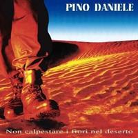 DANIELE PINO -NON CALPESTARE I FIORI NEL DESERTO *1995*